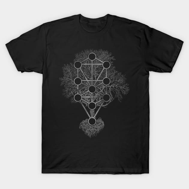 Kabbalah The Tree of Life - Etz Hayim T-Shirt by Nartissima